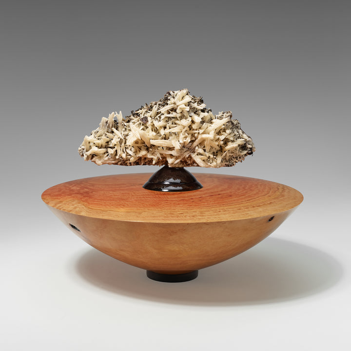 Australian Coolibah with Calcite Cluster