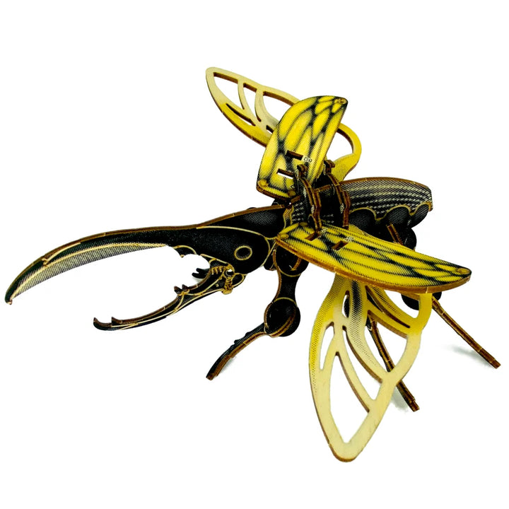 Beetle Puzzle