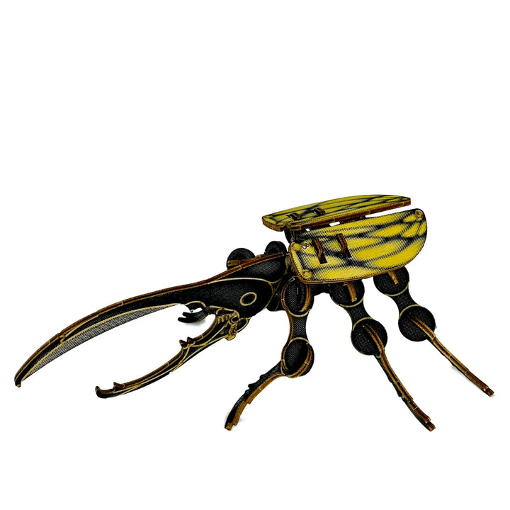 Beetle Puzzle