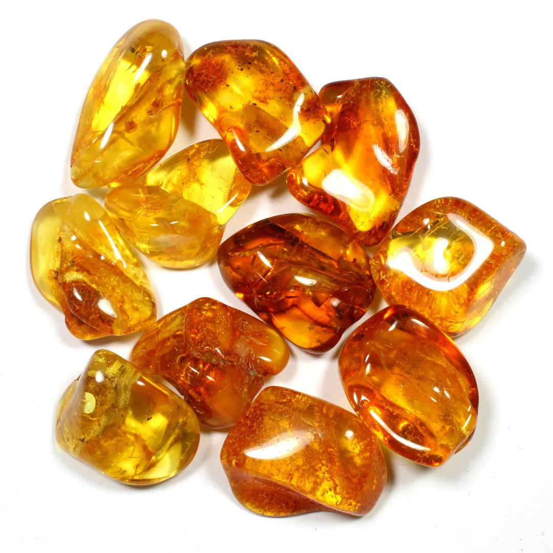 High Quality Amber with Insect Inclusions