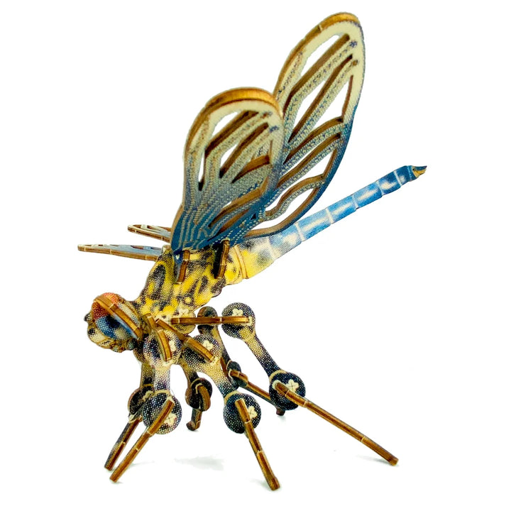 Dragonfly Puzzle