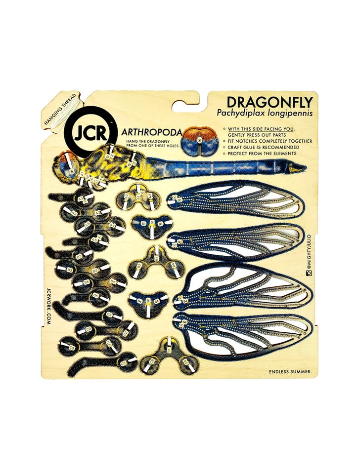 Dragonfly Puzzle