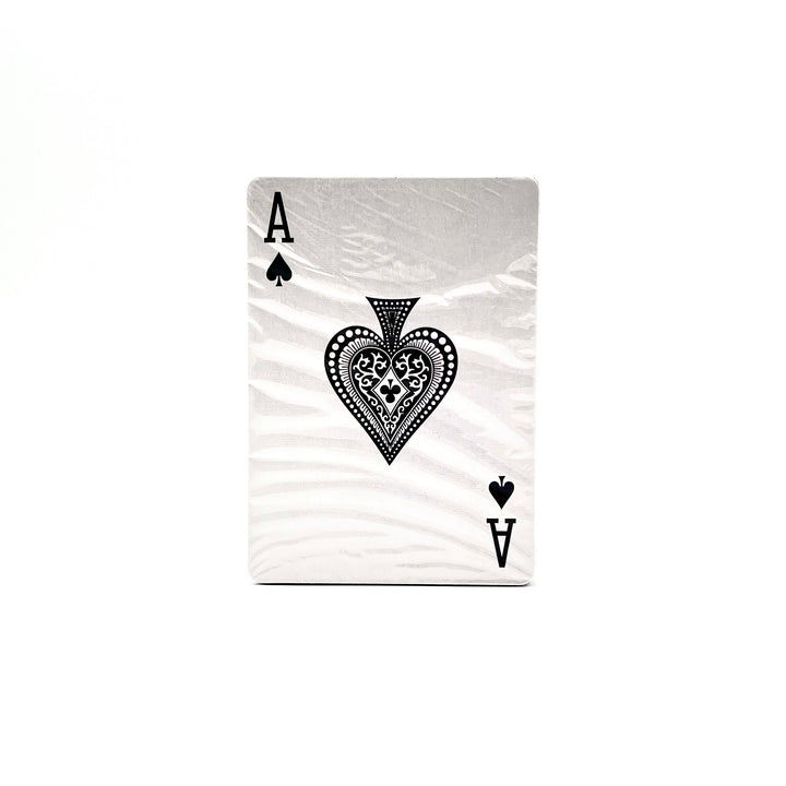 *FINAL SALE* HMNS Dino Scene Playing Cards