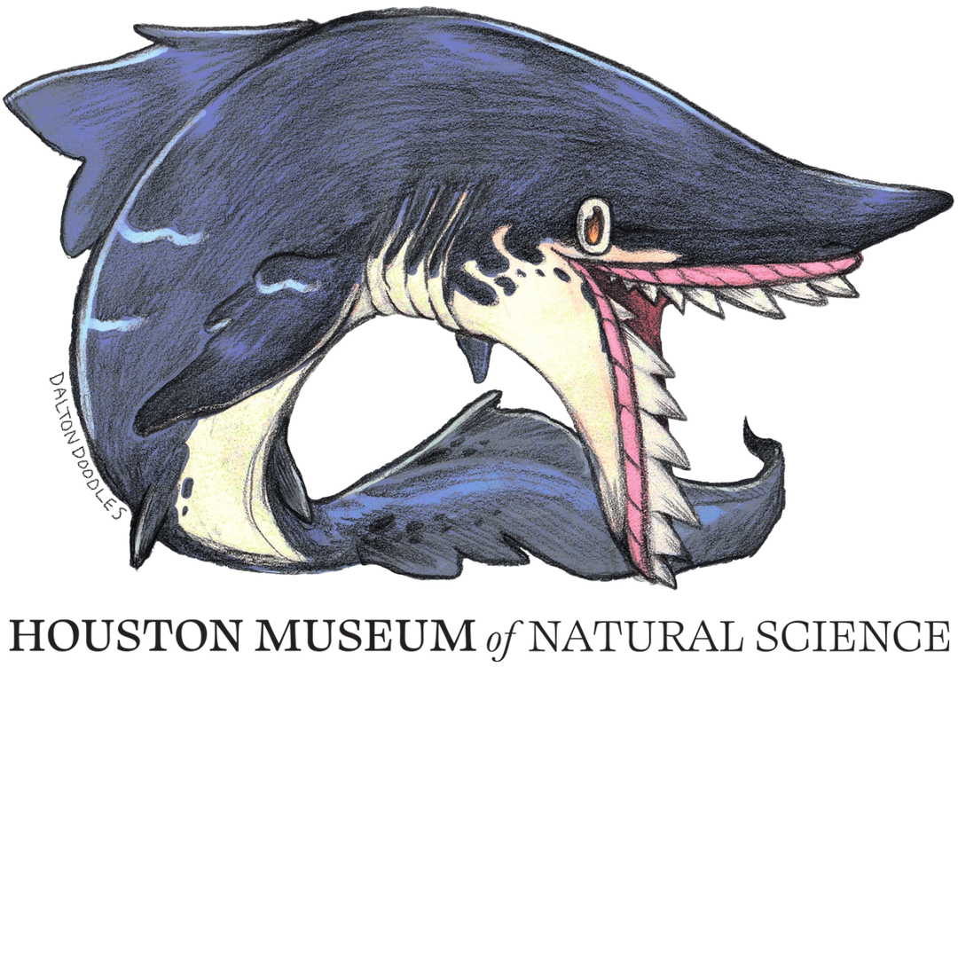 Edestus Shark HMNS Sticker