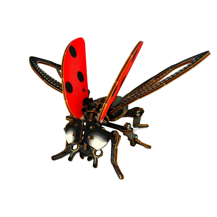 Ladybug Puzzle