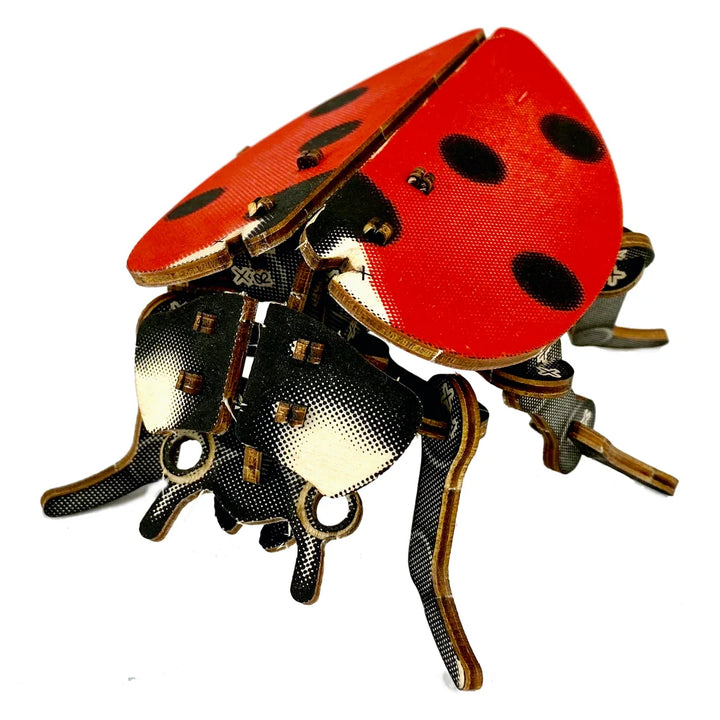 Ladybug Puzzle