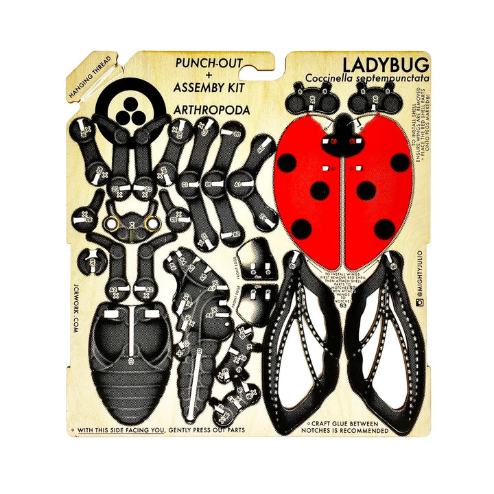 Ladybug Puzzle