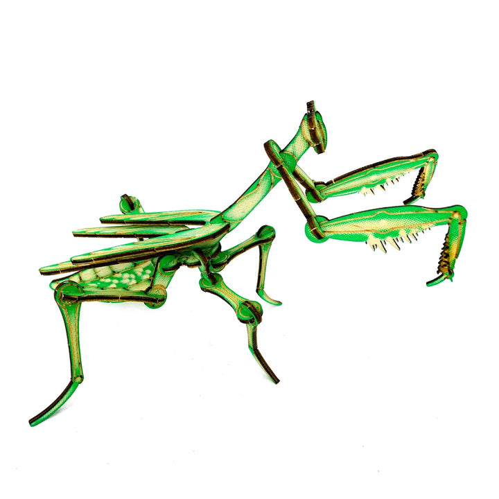 Mantis Puzzle