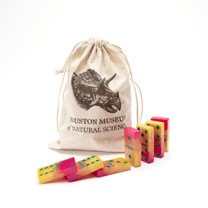 HMNS Colorful Resin Domino Set