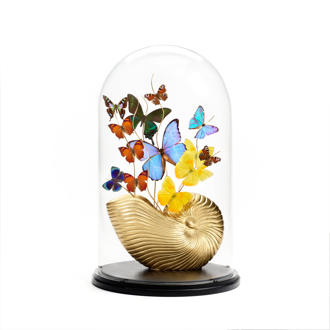 Blue Morpho and Monarch Butterfly Globe