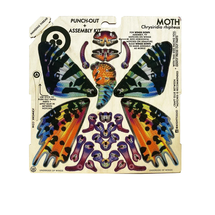 Madagascan Sunset Moth Puzzle