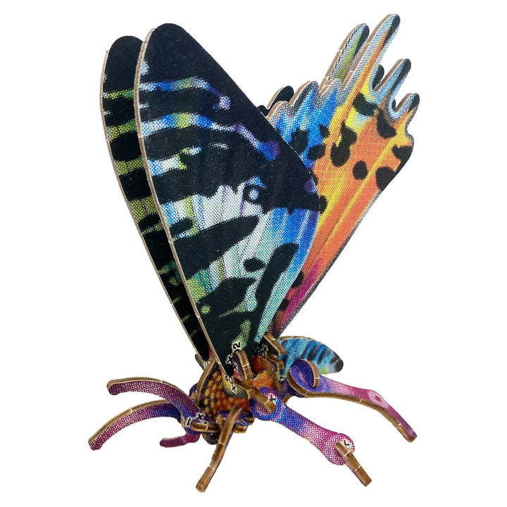 Madagascan Sunset Moth Puzzle