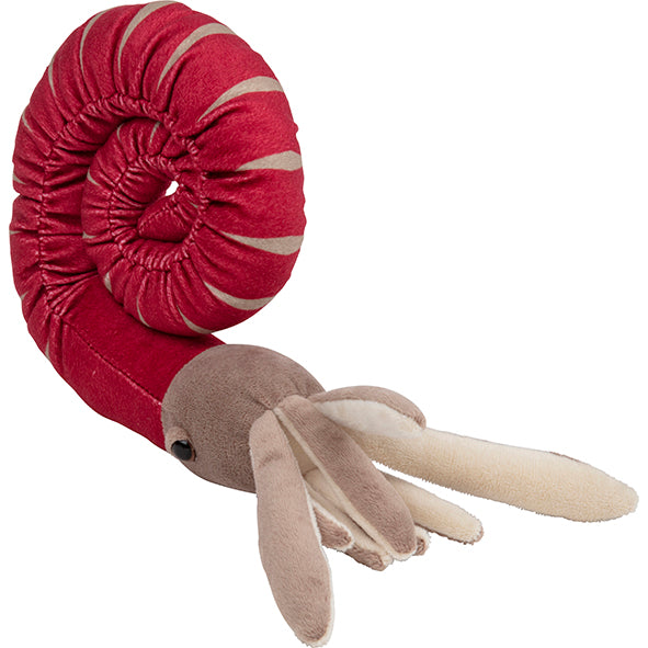 Ammonite Plush Toy