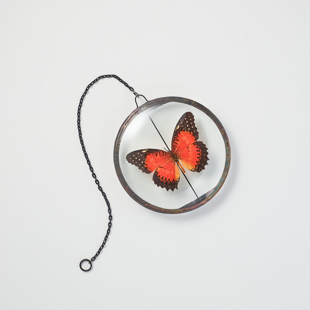 Red Lacewing Butterfly Petite Wall Pendant