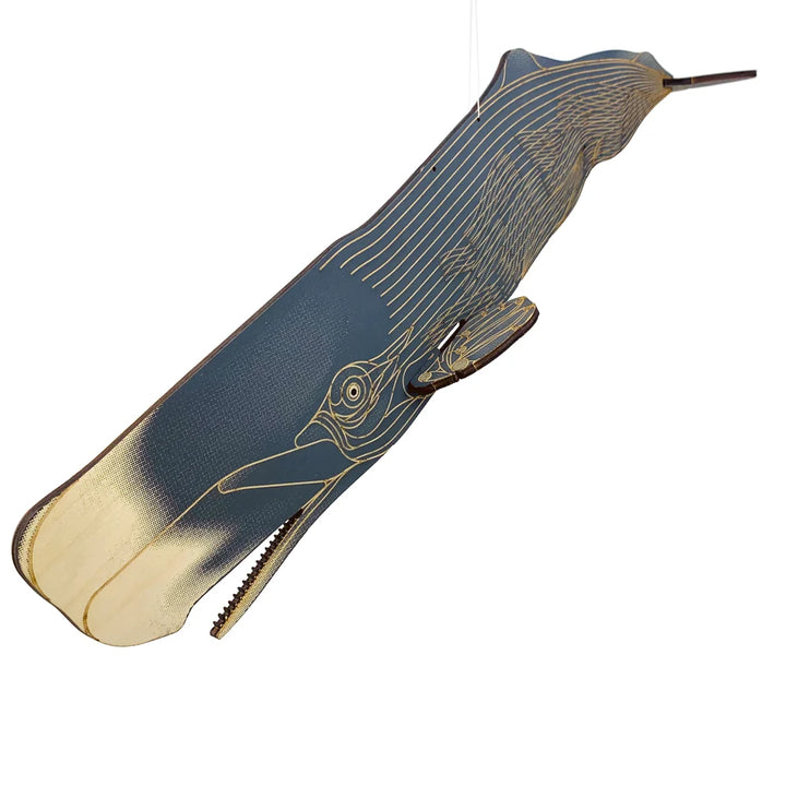 Sperm Whale Puzzle