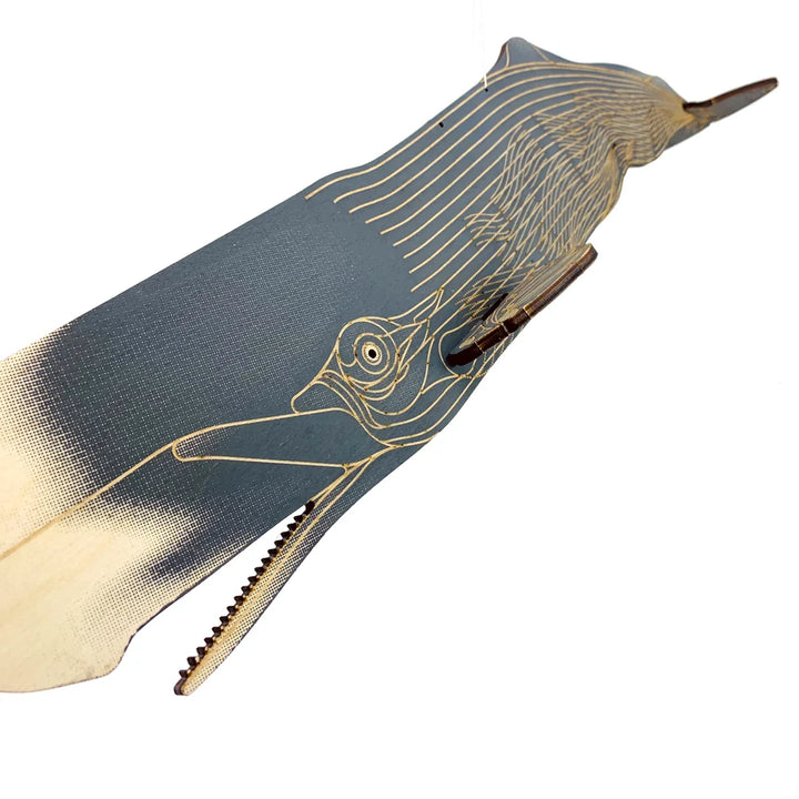 Sperm Whale Puzzle