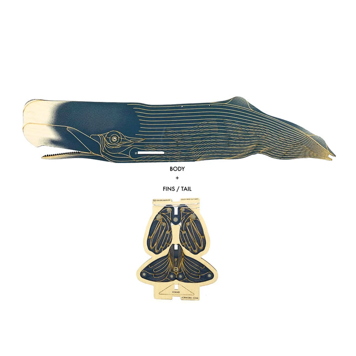 Sperm Whale Puzzle
