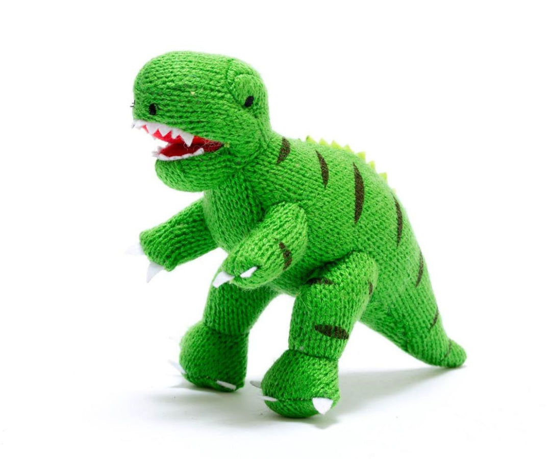 Green T. rex Knitted Rattle