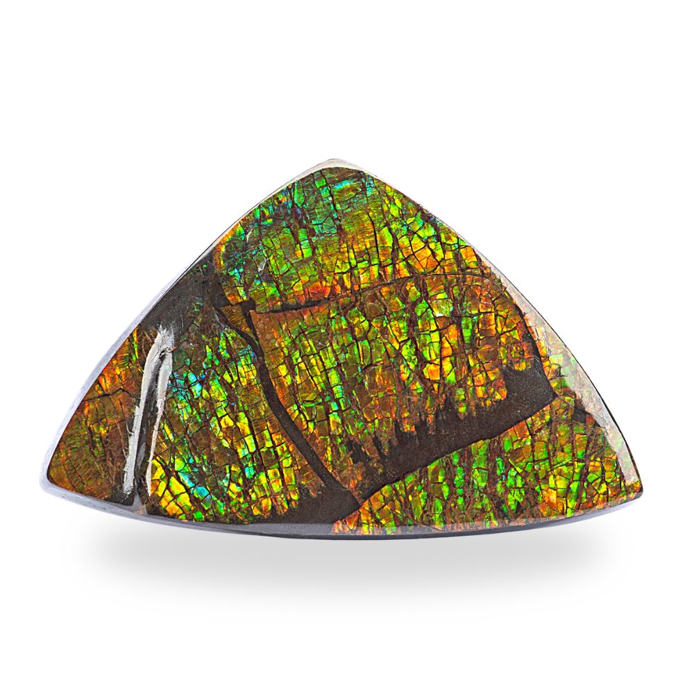 Ammolite