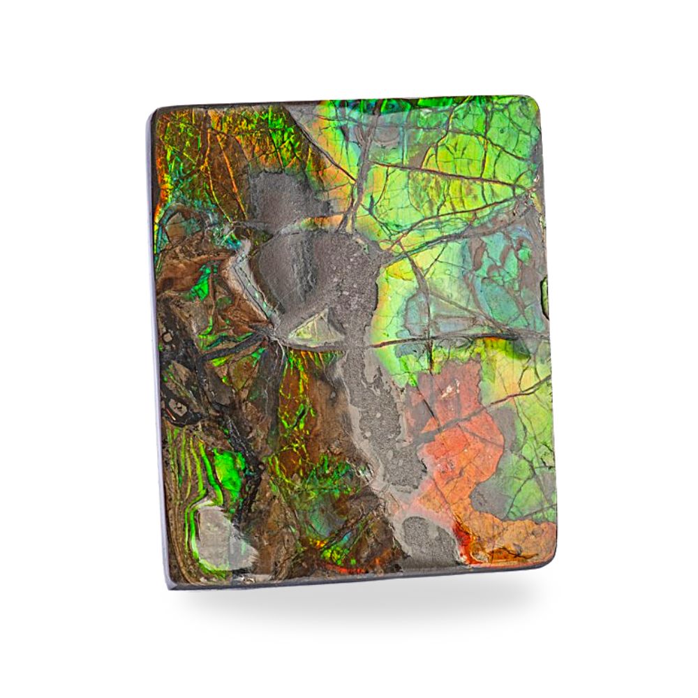 Ammolite
