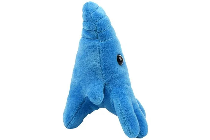 Amoeba Plush