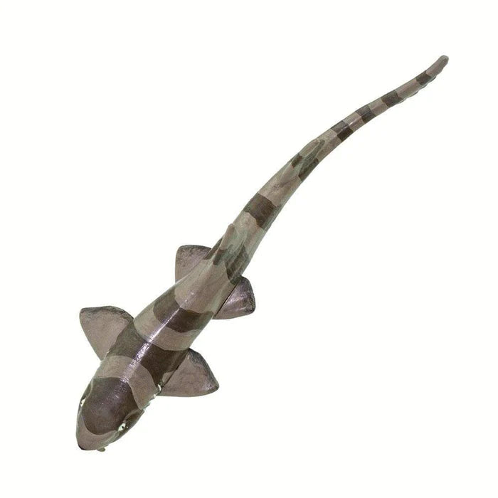 Bamboo Shark