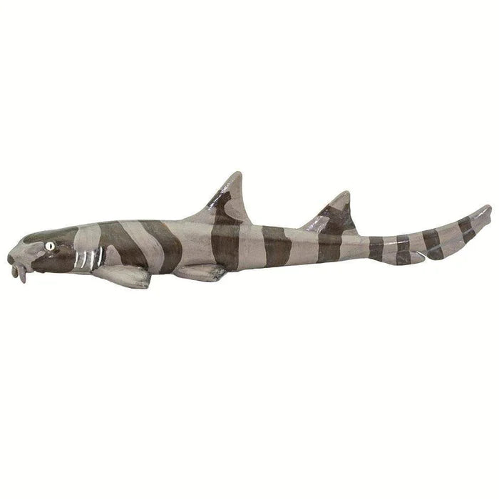 Bamboo Shark