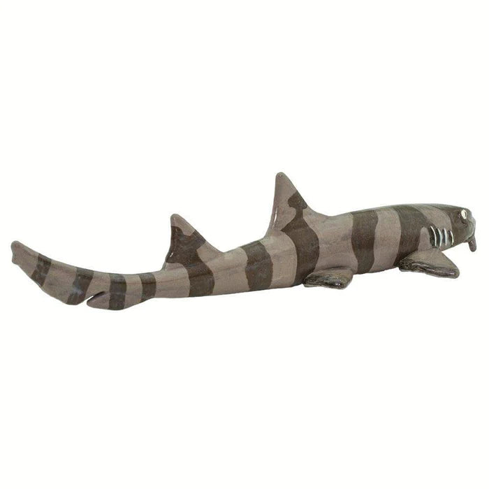 Bamboo Shark