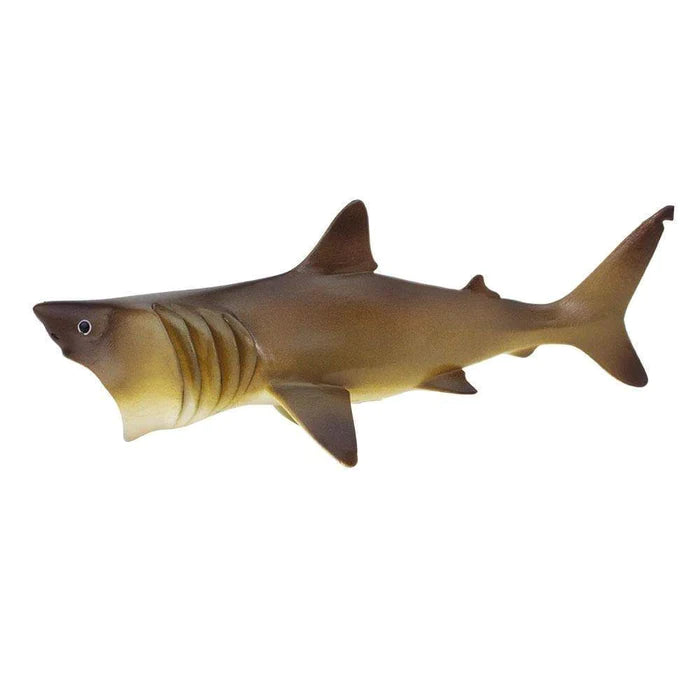 Basking Shark