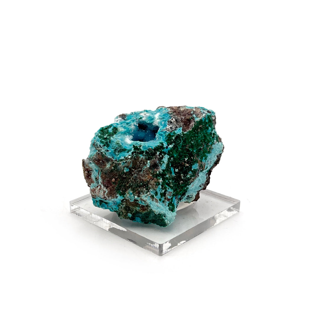 Chrysocolla with Quartz Miniature Specimen