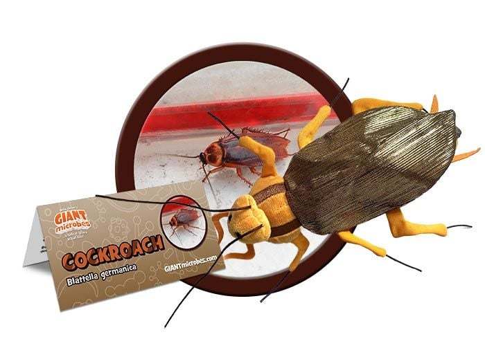 Cockroach Plush