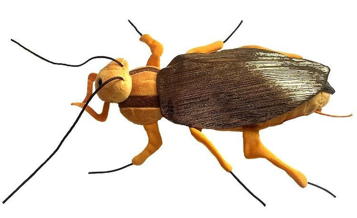 Cockroach Plush