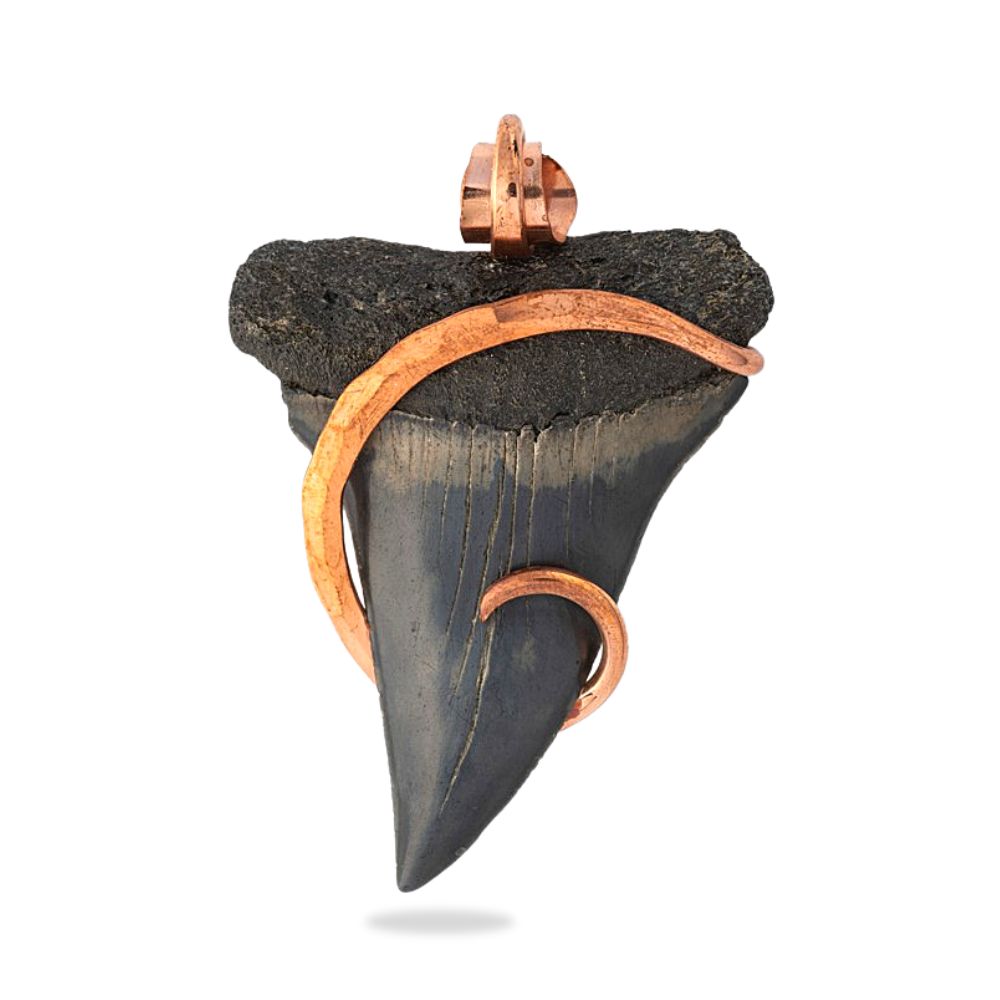 Copper-Wrapped Shark Tooth Fossil Pendant- 2 Inches