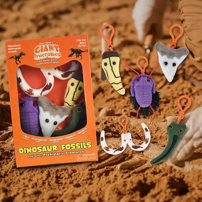 Dino Fossils Plush Keychains Box