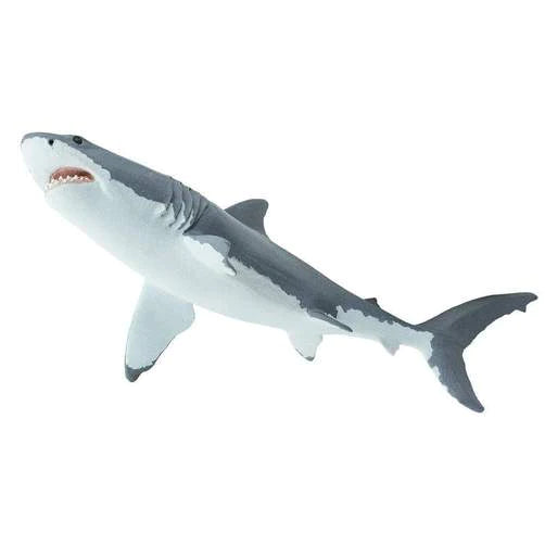 White Shark