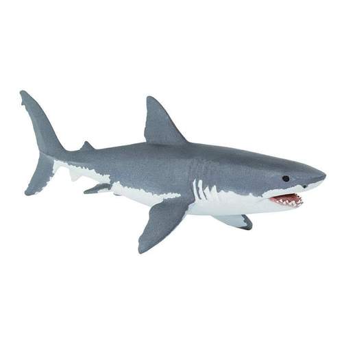 White Shark
