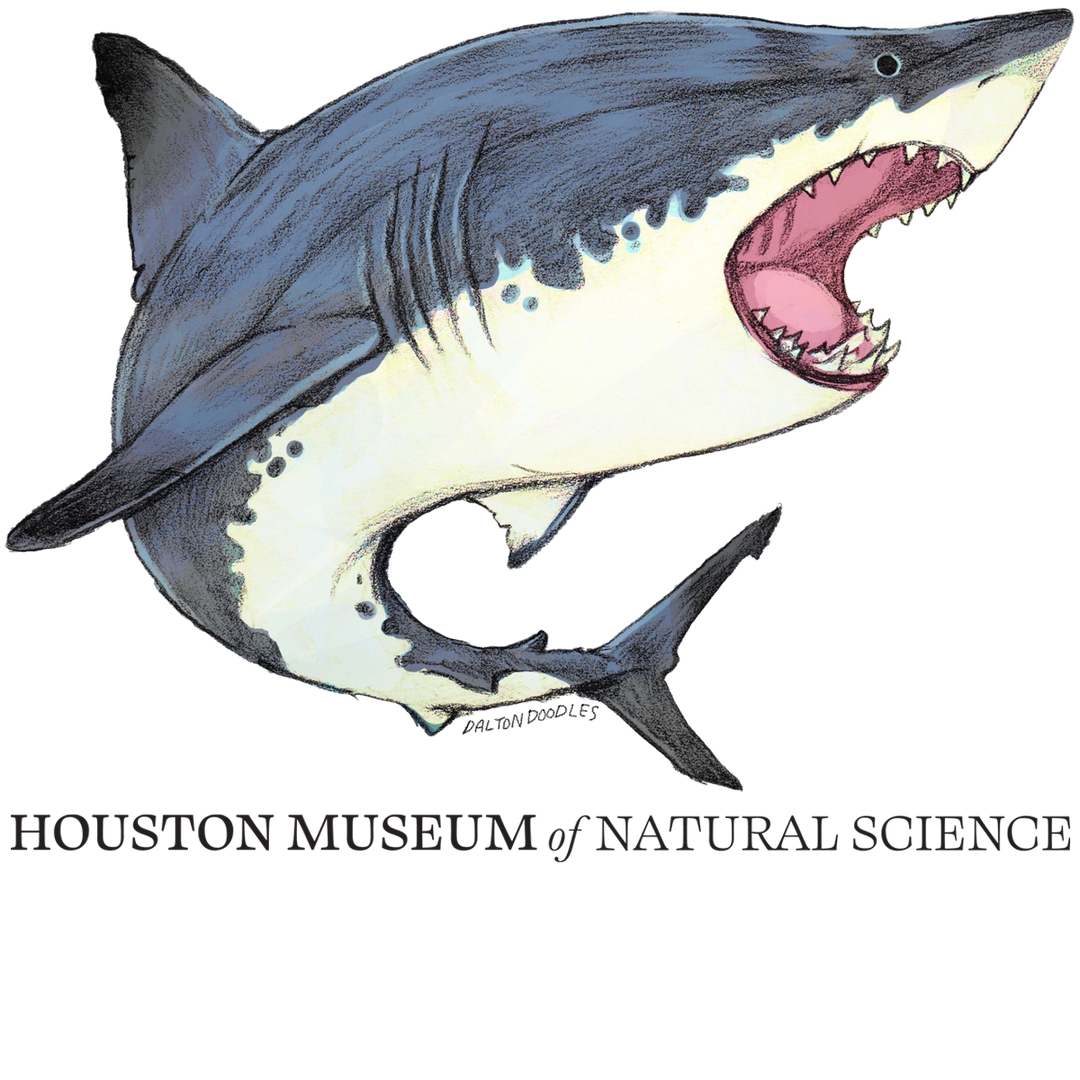 White Shark HMNS Sticker