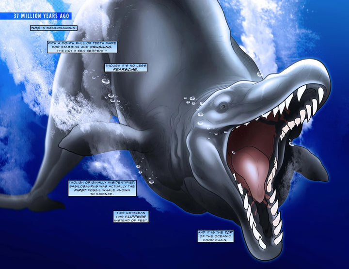 50 Million Years of Whales