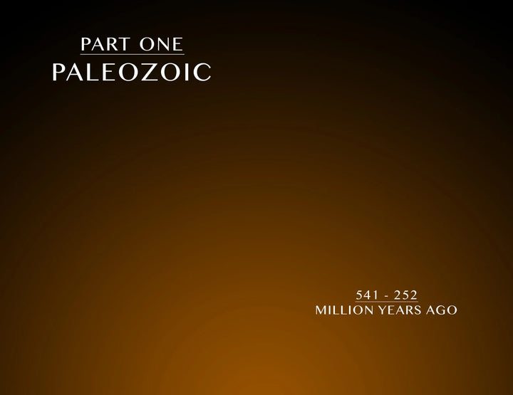 Sharks Book: A 400 Million Year Journey