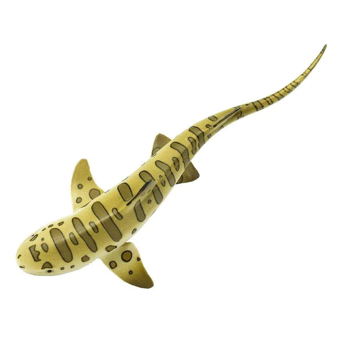 Leopard Shark