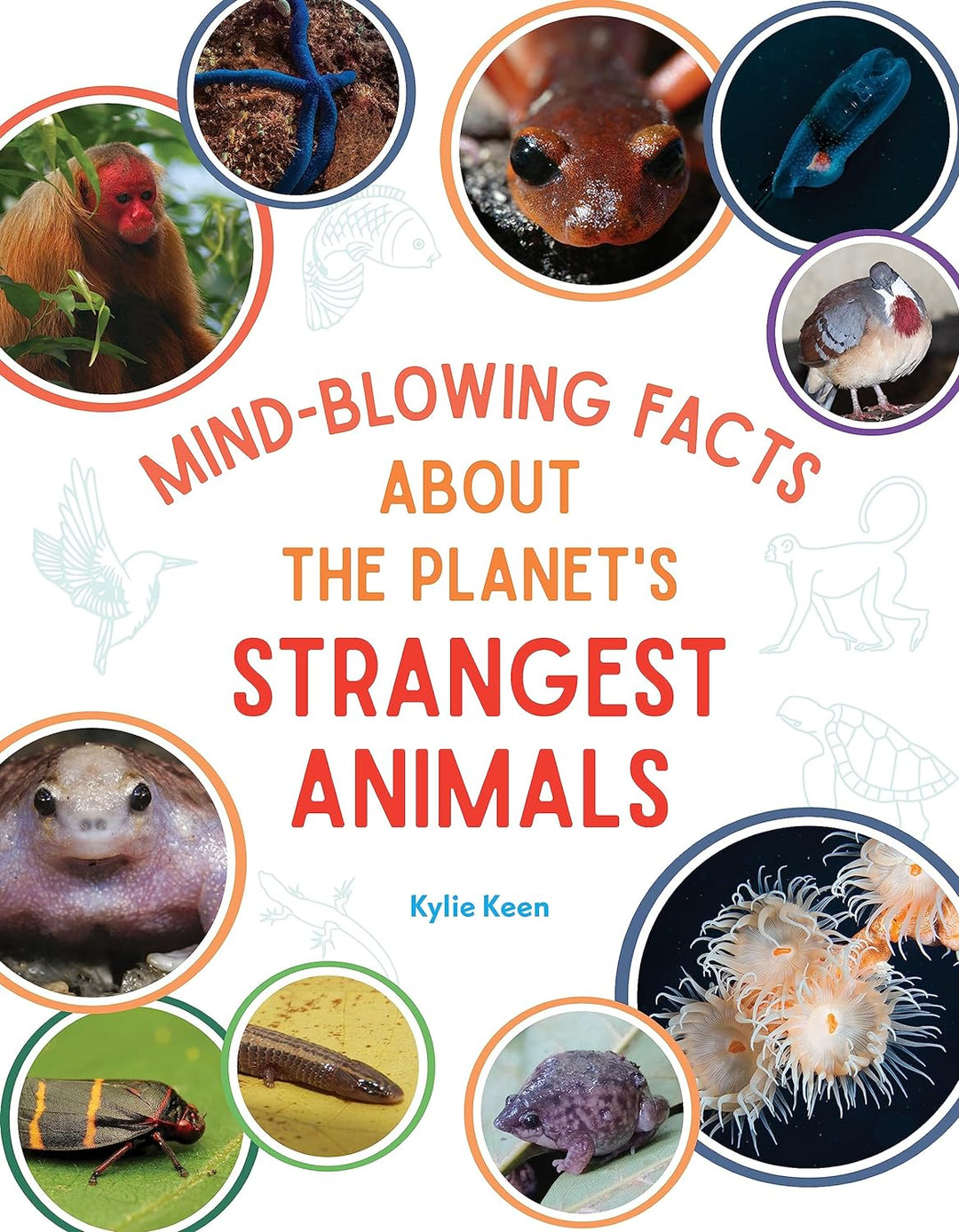 Mind Blowing Facts About the Planet's Strangest Animals