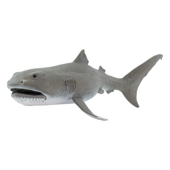 Megamouth Shark