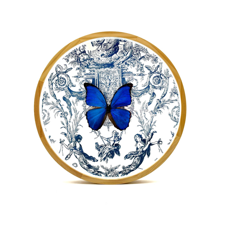 blue morpho real butterfly shadowbox round frame blue illustration on white