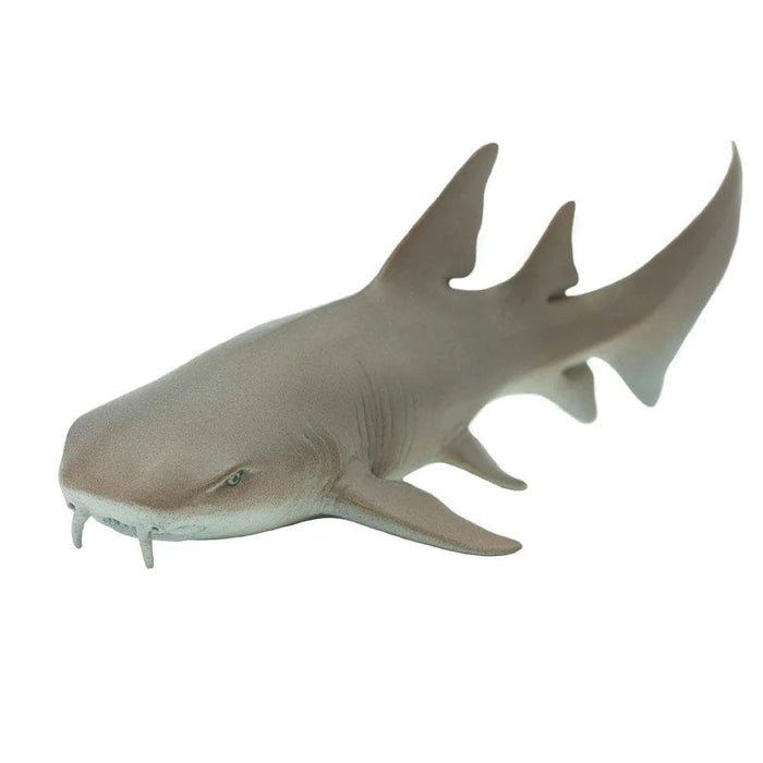 Nurse Shark