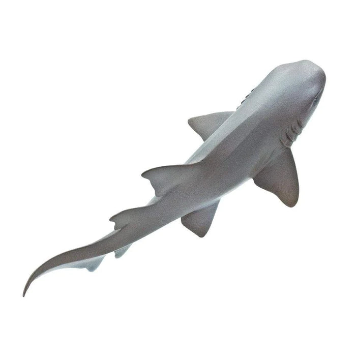 Nurse Shark