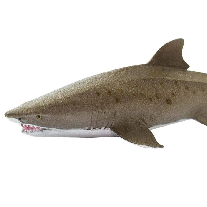Sand Tiger Shark