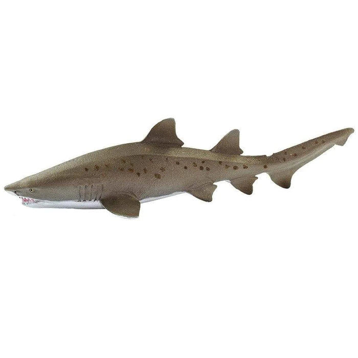 Sand Tiger Shark