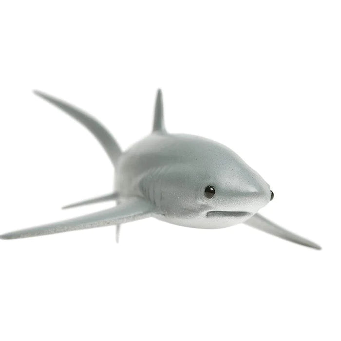 Thresher Shark