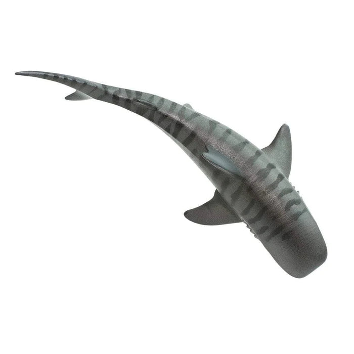 Tiger Shark