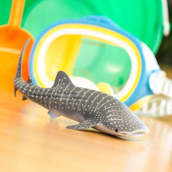 Whale Shark
